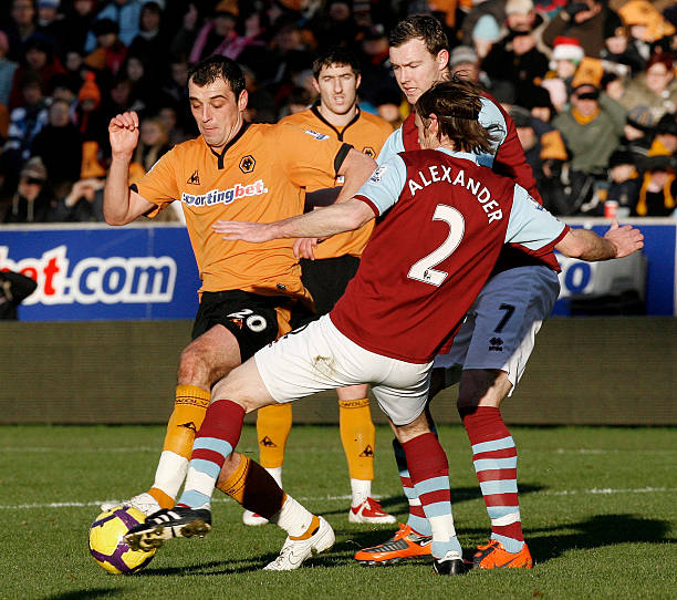 不仅填补了 不仅填补了